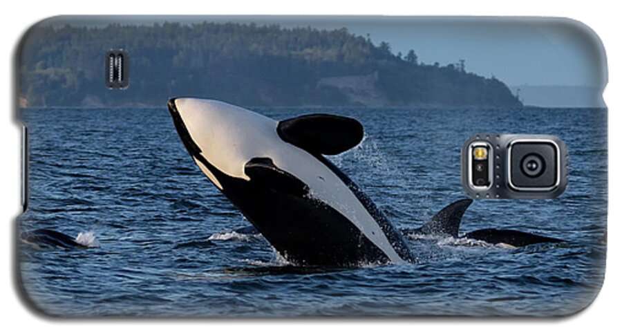 Orca Galaxy S5 Case featuring the photograph Air Time by Randy Hall