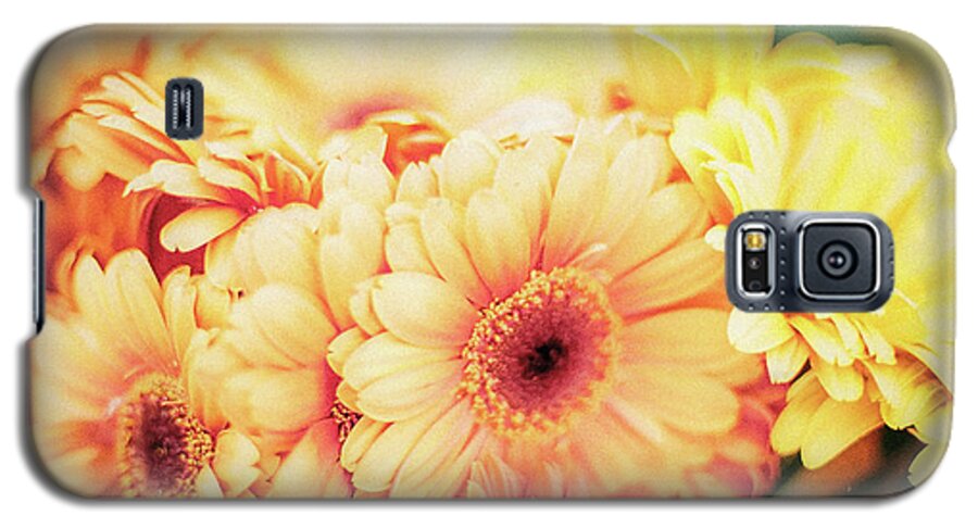 Daisy Galaxy S5 Case featuring the photograph All The Daisies by Ana V Ramirez