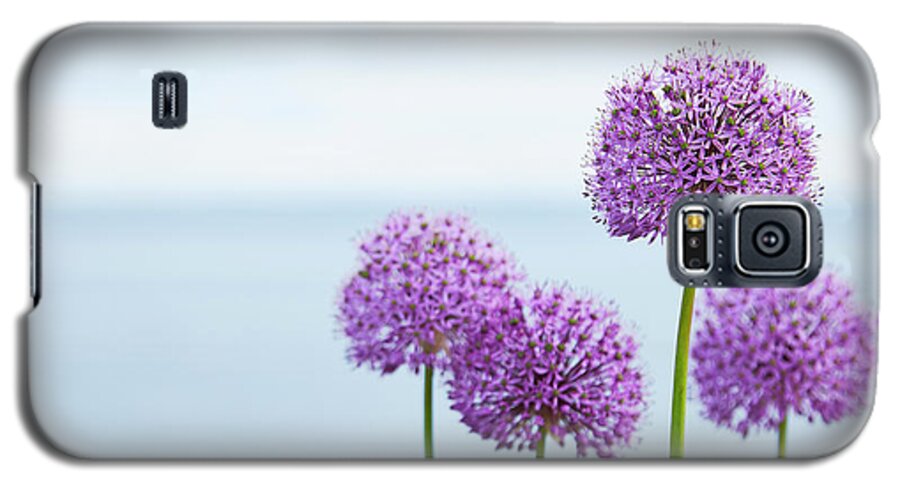 Allium Galaxy S5 Case featuring the photograph Alliums 1 by Garden Gate