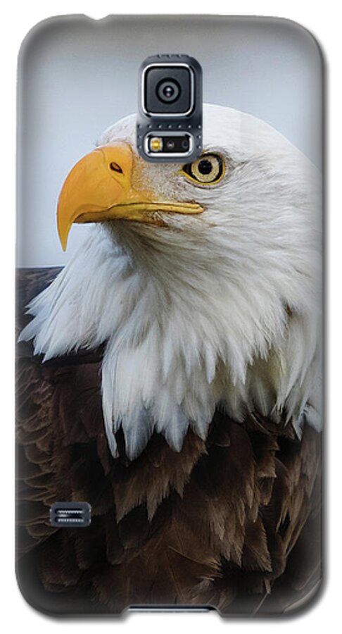 Eagle Galaxy S5 Case featuring the photograph American Bald Eagle Portrait by Angie Vogel