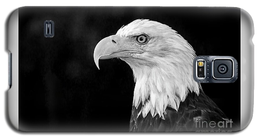 Birds Galaxy S5 Case featuring the photograph American Bald Eagle by Sal Ahmed