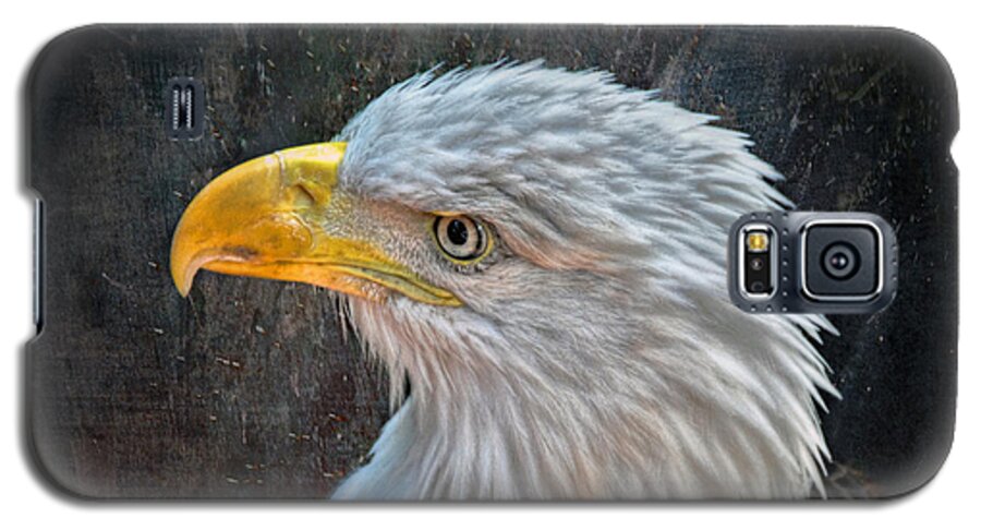 American Galaxy S5 Case featuring the photograph American Bald Eagle by Savannah Gibbs
