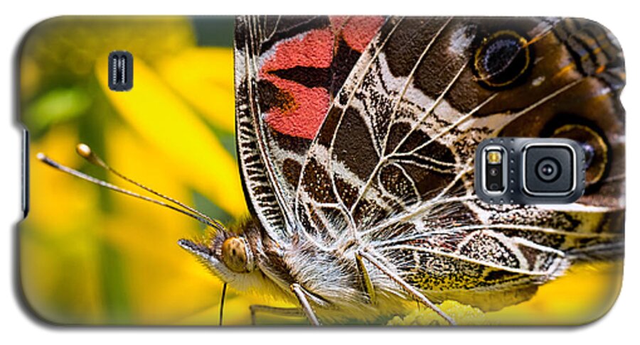 Butterfly Galaxy S5 Case featuring the photograph American Lady Butterfly by Brad Boland