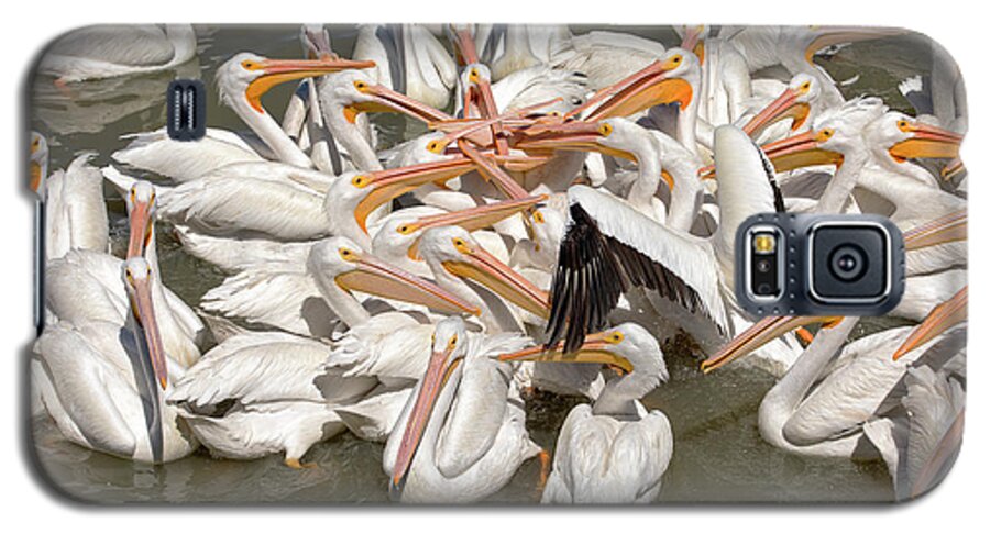Pelicans Galaxy S5 Case featuring the photograph American White Pelicans by Eunice Gibb
