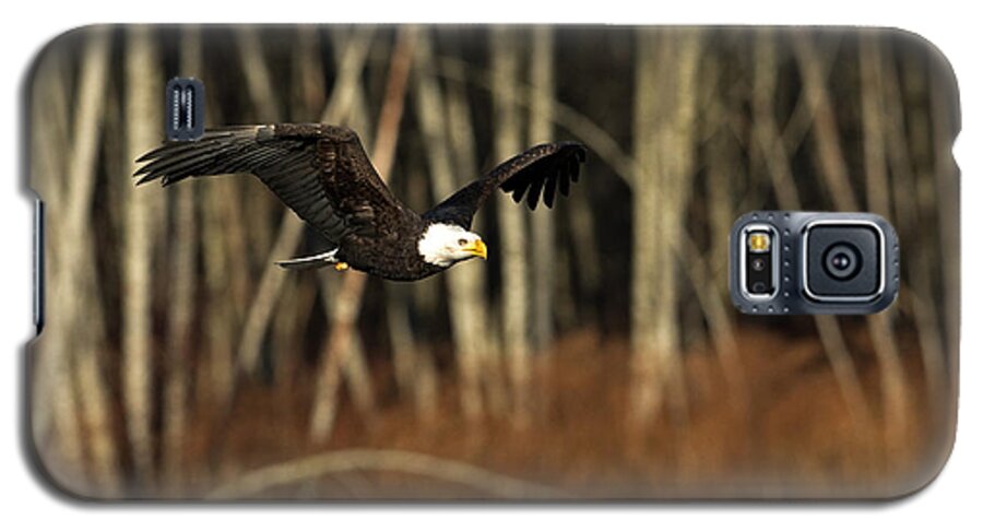 Eagle Galaxy S5 Case featuring the photograph America's Finest by Shari Sommerfeld