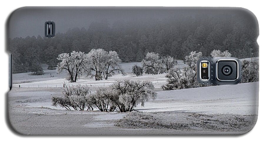Winter Galaxy S5 Case featuring the photograph An Affair of Cottonwoods by Alana Thrower