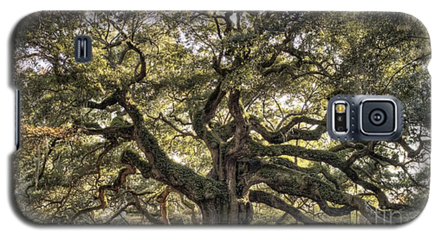 Angel Oak Tree Galaxy S5 Case featuring the photograph Angel Oak Tree Live Oak by Dustin K Ryan
