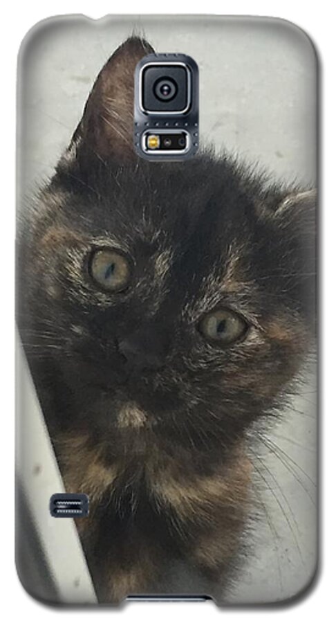 Kitty Galaxy S5 Case featuring the photograph Answer the door by Matthew Seufer