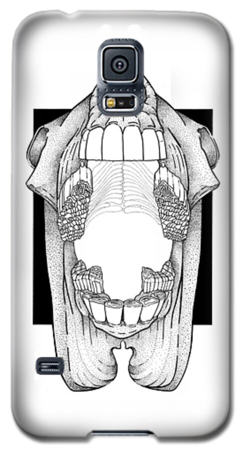 Horse Galaxy S5 Case featuring the drawing AP View Dental Skull by Dawn Sperry