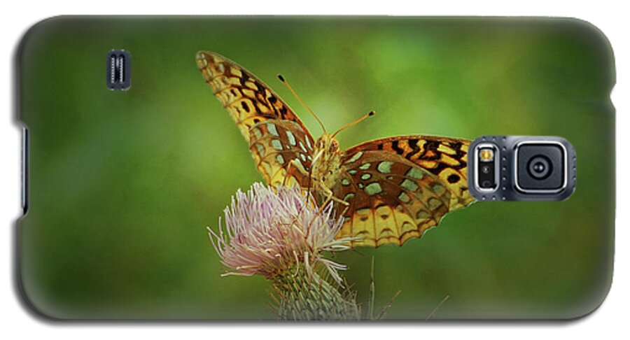 Butterfly Galaxy S5 Case featuring the photograph Aphrodite Fritillary Butterfly by Sandy Keeton