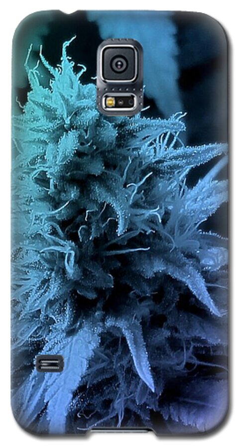 Digital Art Galaxy S5 Case featuring the photograph Artful Oasis Macro Abstract 112216.5 by Belinda Cox