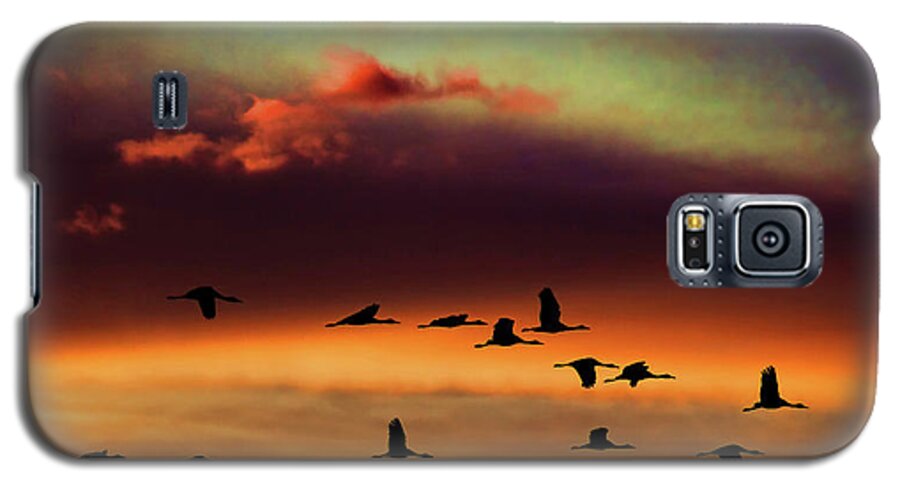 Bill Kesler Photography Galaxy S5 Case featuring the photograph Sandhill Cranes Take The Sunset Flight by Bill Kesler