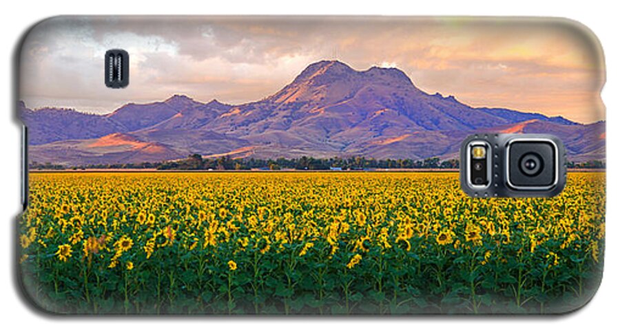 Sunflowers Galaxy S5 Case featuring the photograph As far as the eye can see by Janet Kopper