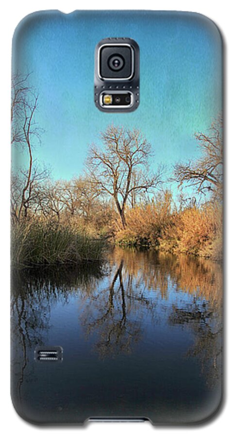 Winter Galaxy S5 Case featuring the photograph As We Taked About the Year by Laurie Search