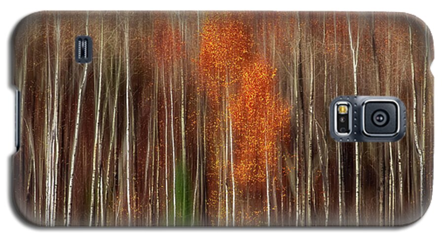 Landscape Photography Galaxy S5 Case featuring the photograph Aspen Motion II, Sturgeon Bay by Jakub Sisak