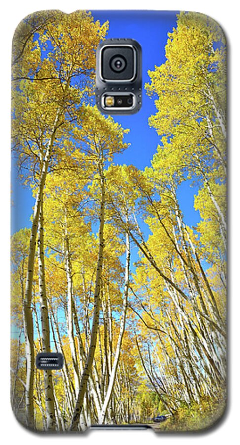 Colorado Galaxy S5 Case featuring the photograph Aspen Road by Ray Mathis