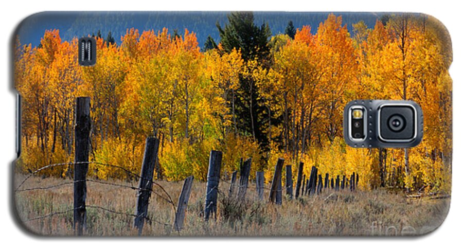 Centennial Valley Galaxy S5 Case featuring the photograph Aspens and Fence by Idaho Scenic Images Linda Lantzy