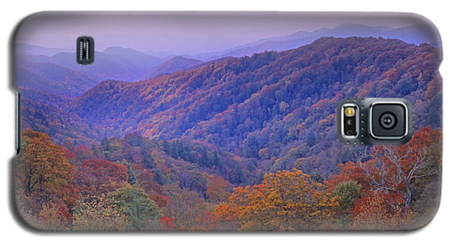00175805 Galaxy S5 Case featuring the photograph Autumn Deciduous Forest Great Smoky by Tim Fitzharris