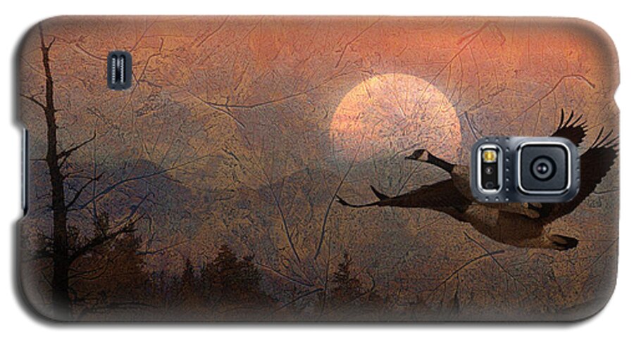 Canadian Geese Galaxy S5 Case featuring the photograph Autumn by Ed Hall