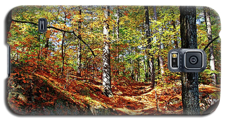 Killarney Provincial Park Galaxy S5 Case featuring the photograph Autumn Forest Killarney by Debbie Oppermann
