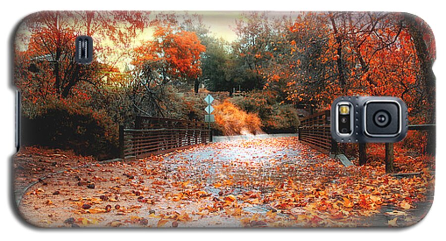 Fall Galaxy S5 Case featuring the photograph Autumn in Discovery Lake by Alison Frank