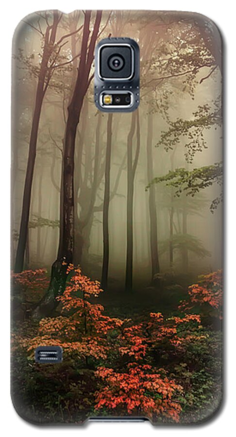 Trees Galaxy S5 Case featuring the photograph Autumn mornin in forgotten forest by Jaroslaw Blaminsky