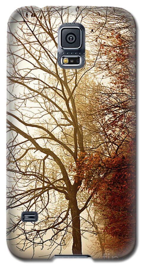 Tree Galaxy S5 Case featuring the photograph Autumn Morning by Stephanie Frey