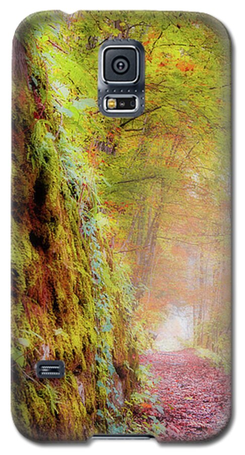 Autumn Galaxy S5 Case featuring the photograph Autumn Path by Geoff Smith