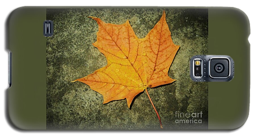 Canadian Symbols Galaxy S5 Case featuring the photograph Autumn by Reb Frost
