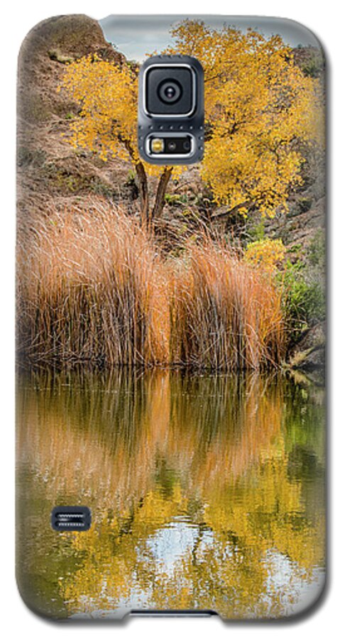 Tree Galaxy S5 Case featuring the photograph Autumn Reflection at Boyce Thompson Arboretum by Teresa Wilson