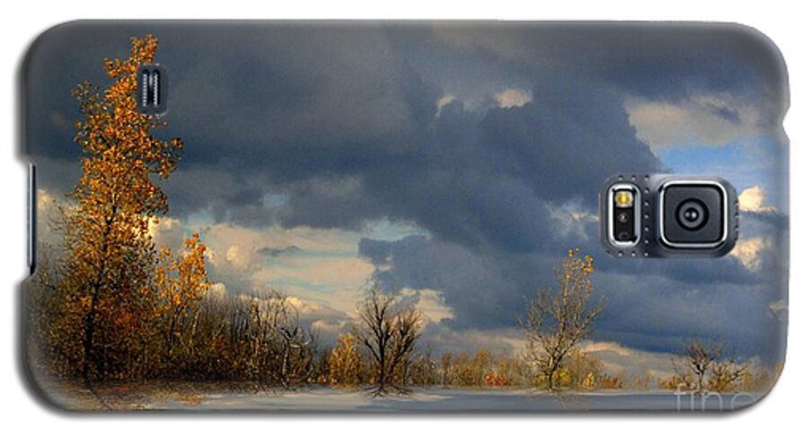 Trees Galaxy S5 Case featuring the photograph Autumn Skies by Elfriede Fulda