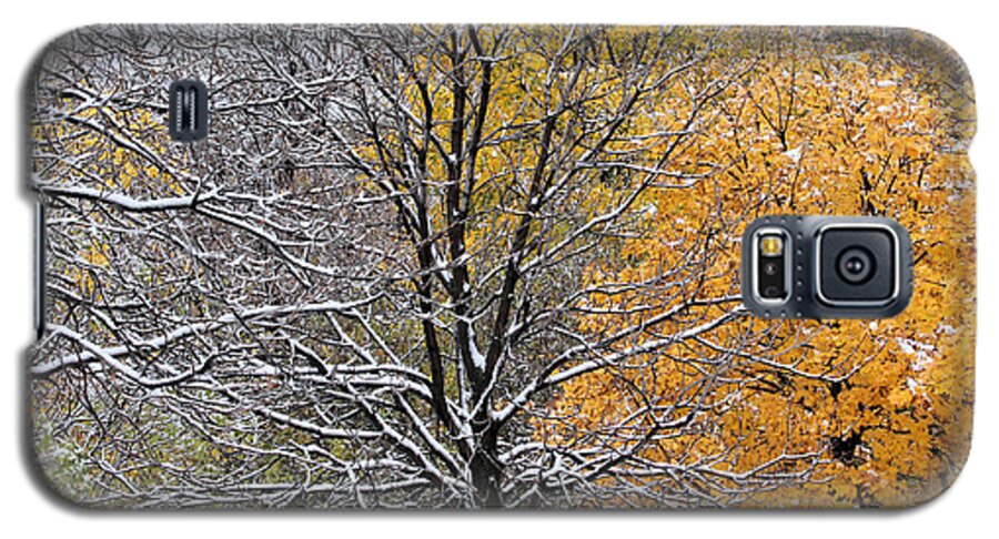 Tree Galaxy S5 Case featuring the photograph Autumn snow by Doris Potter
