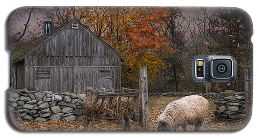 Sheep Galaxy S5 Case featuring the photograph Autumn Sweater by Robin-Lee Vieira
