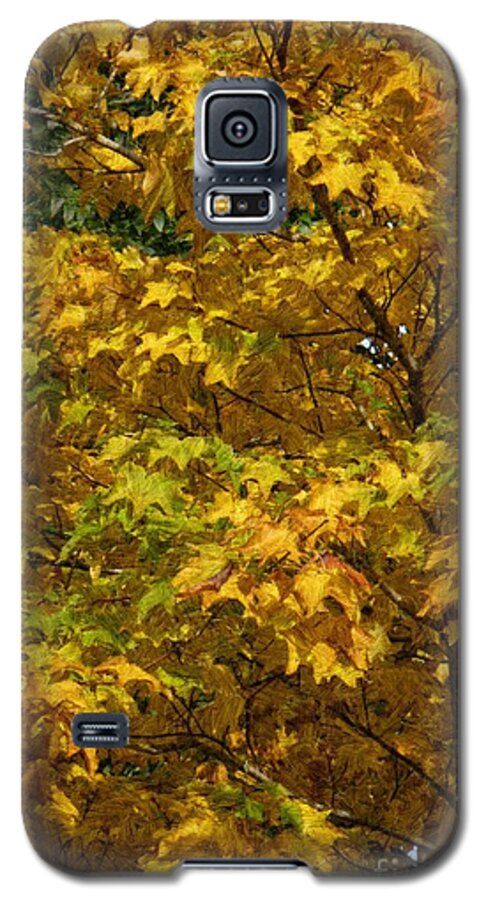 Autumn Galaxy S5 Case featuring the photograph Autumnal Leaves and Trees 2 by Jean Bernard Roussilhe