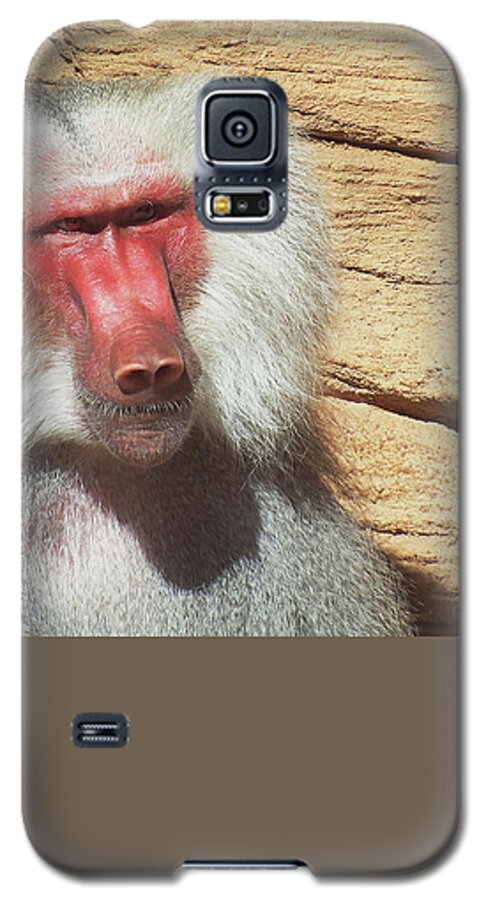 Africa Galaxy S5 Case featuring the photograph Just Walk Away by Cathy Harper