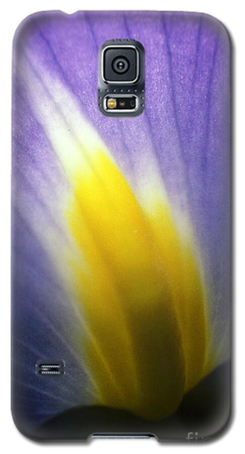Rick Bures Galaxy S5 Case featuring the photograph Backlit Iris Flower Petal Close Up Purple and Yellow by Rick Bures