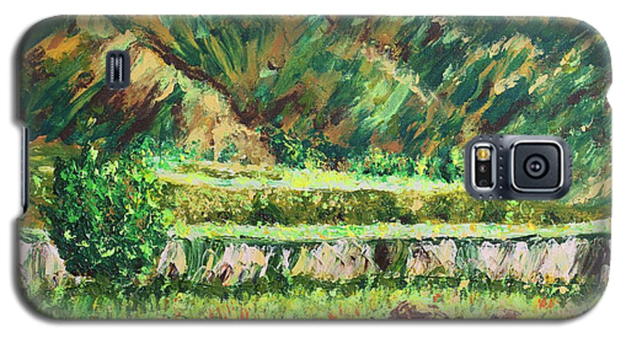 North Dakota Galaxy S5 Case featuring the painting Badlands Beauty by Linda Donlin