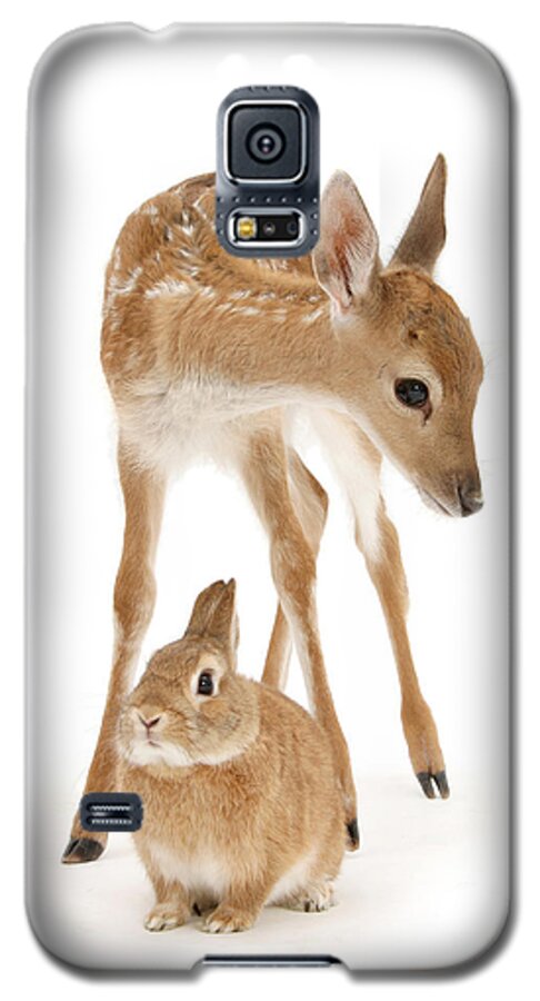 Fallow Deer Galaxy S5 Case featuring the photograph Bambi and Thumper by Warren Photographic