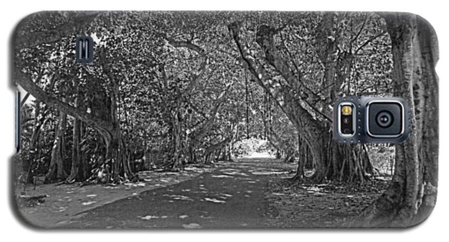 Banyan Trees Galaxy S5 Case featuring the photograph Banyan Street 2 by HH Photography of Florida
