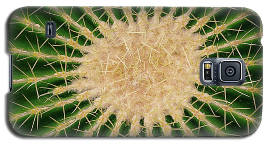 Barrel Galaxy S5 Case featuring the photograph Barrel Cactus No. 6-1 by Sandy Taylor