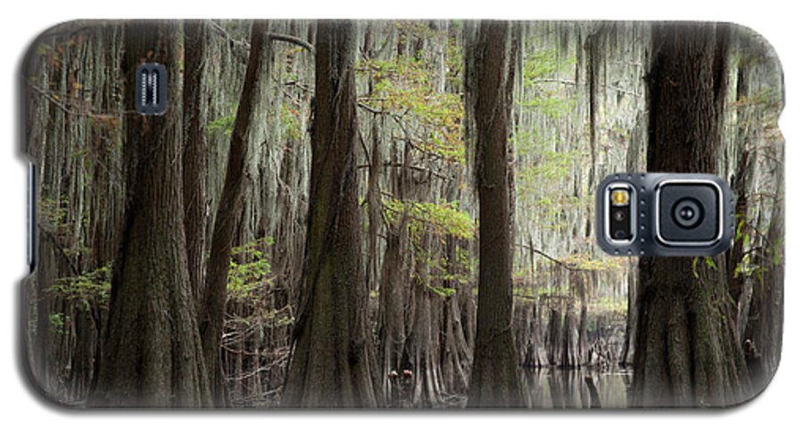 Swampland Galaxy S5 Case featuring the photograph Bayou Trees by David Chasey