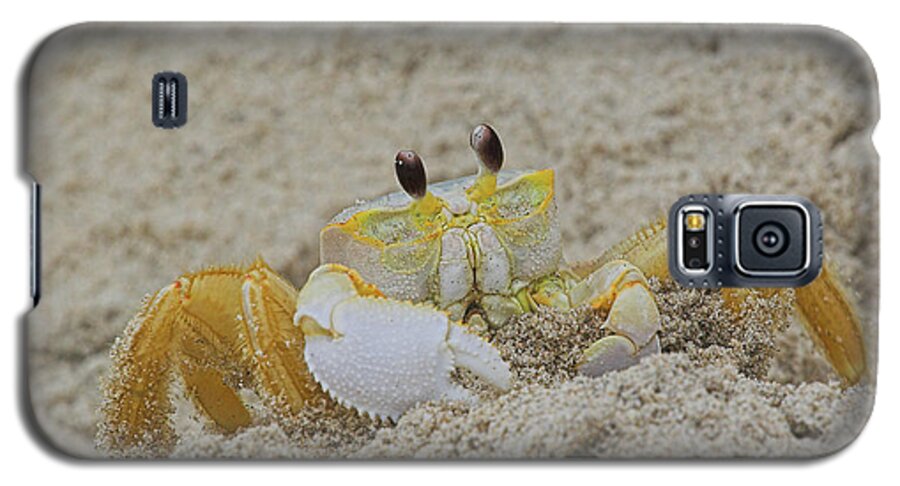 Sand Galaxy S5 Case featuring the photograph Beach Crab in Sand by Randy Steele