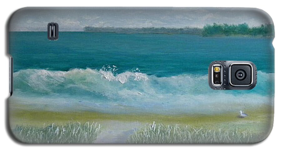 Seascape Landscape Ocean Beach Wave Maine Bird Artist Scott White Galaxy S5 Case featuring the painting Beach Day by Scott W White