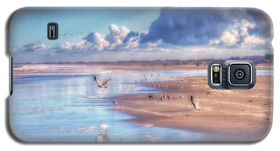St. Augustine Galaxy S5 Case featuring the photograph Beach Gulls by Joseph Desiderio