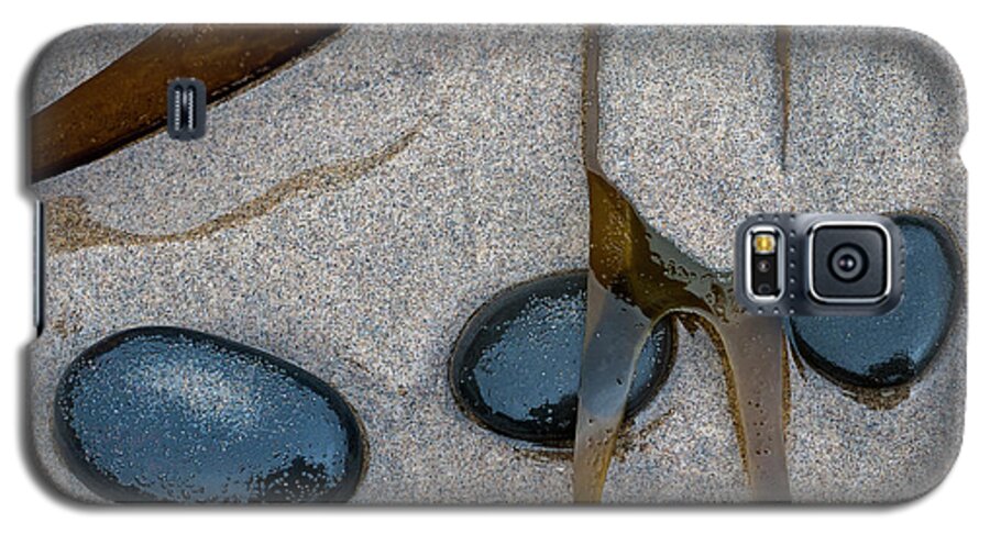 Beach Galaxy S5 Case featuring the photograph Beach Treasures by Robert Potts