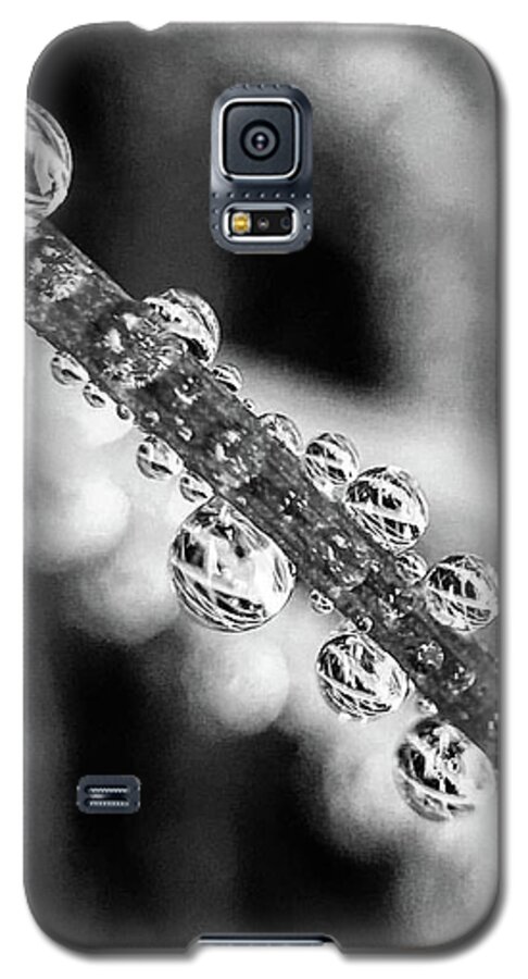  Galaxy S5 Case featuring the photograph Beaded Chive by Terri Hart-Ellis