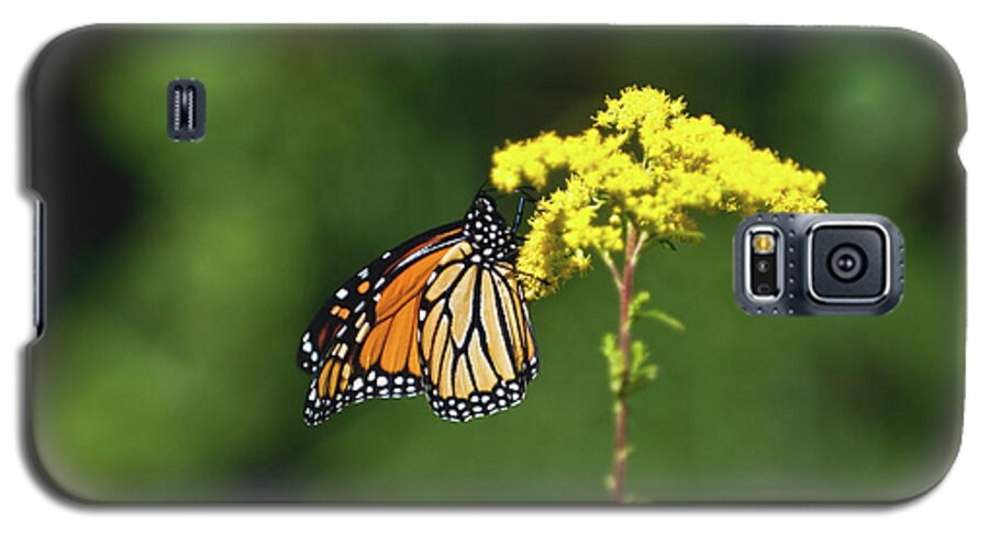 Butterfly Galaxy S5 Case featuring the photograph Beautiful Combination by Paul Mangold
