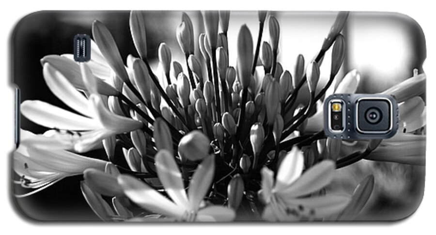 Floral Galaxy S5 Case featuring the photograph Becoming Beautiful - bw by Linda Shafer