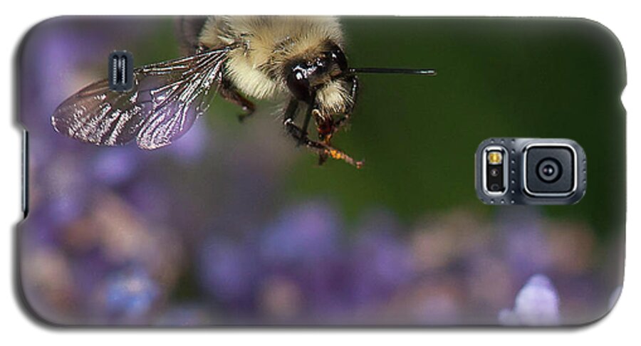 Bumblebee Galaxy S5 Case featuring the photograph Bee approaches lavender by Len Romanick