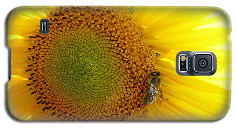 Artistic Galaxy S5 Case featuring the photograph Bee on Sunflower by Jean Bernard Roussilhe